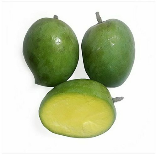 Rajapuri Pickle Mangoes - 5kg Box (Approx.)